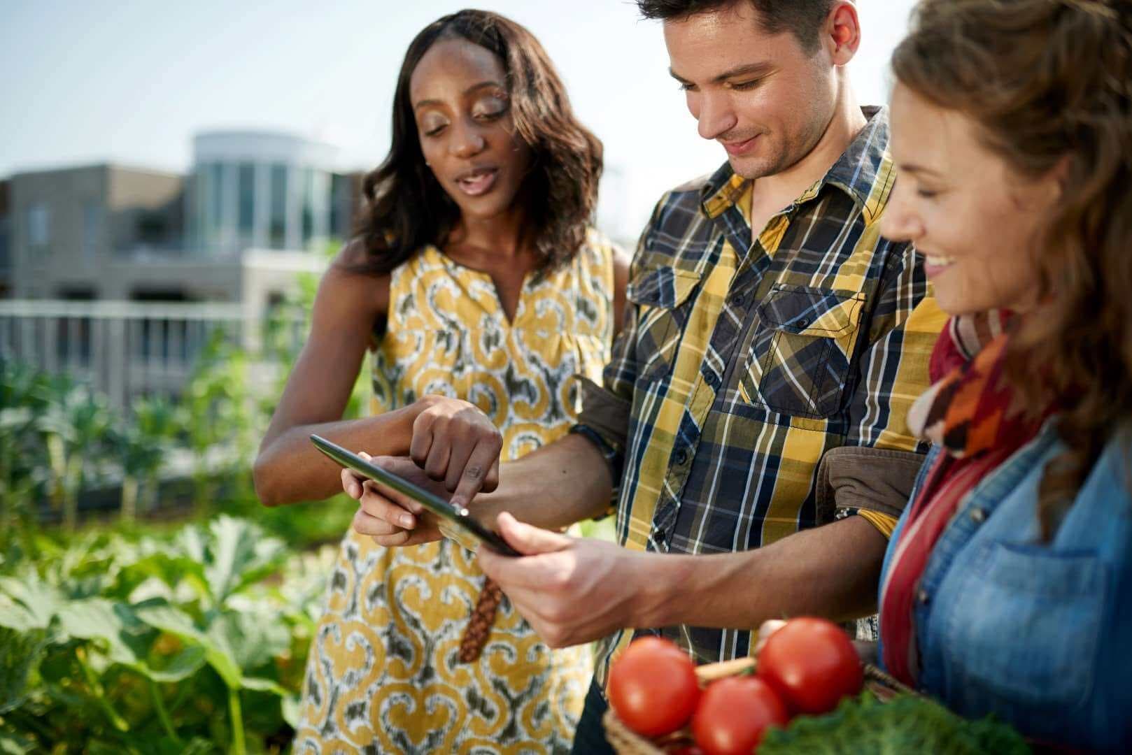 Digital Farmer Community