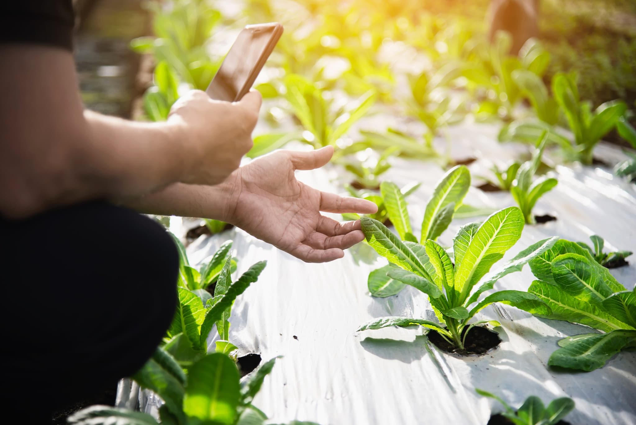 Environmental Compliance eHub
