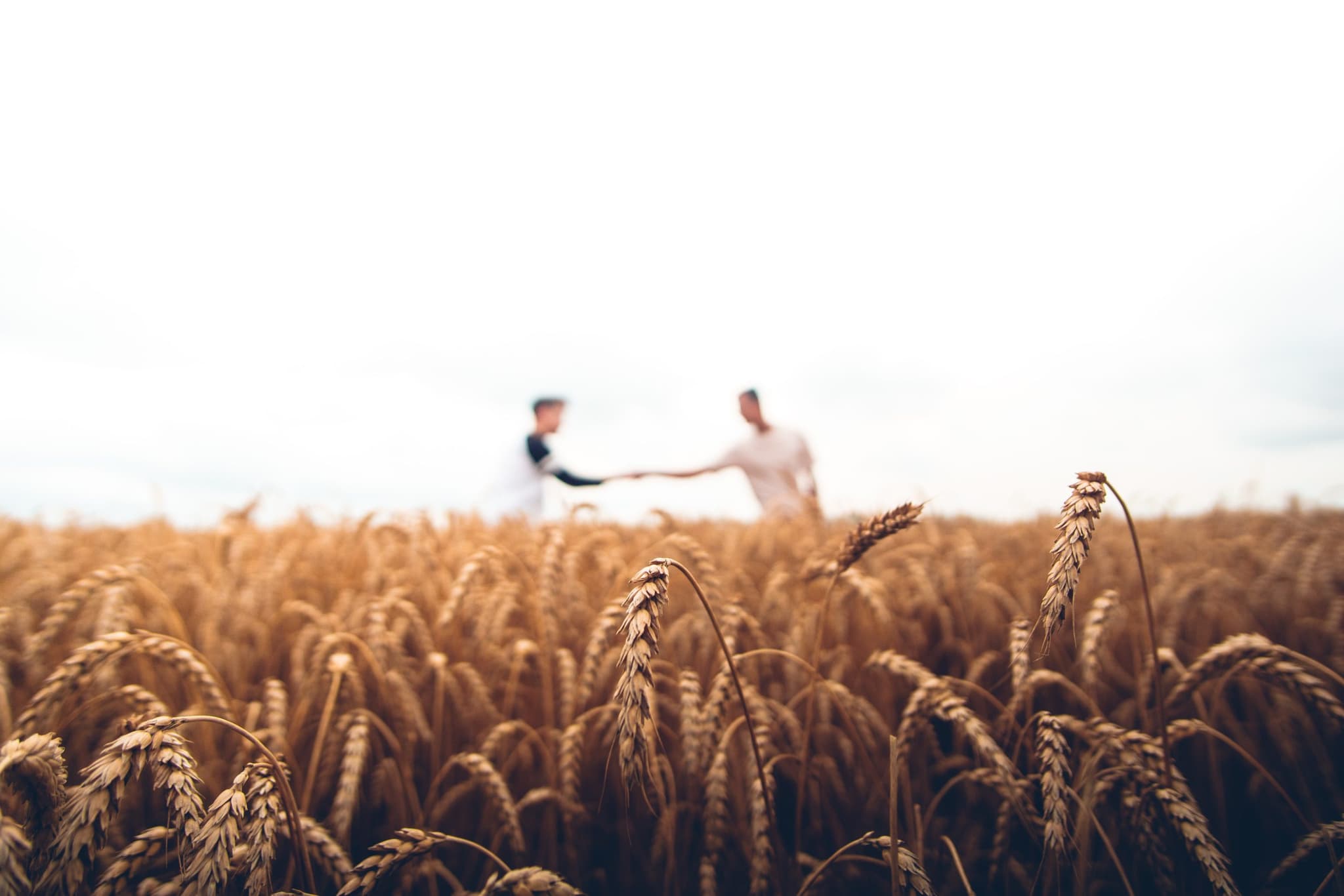 P2P Agriculture