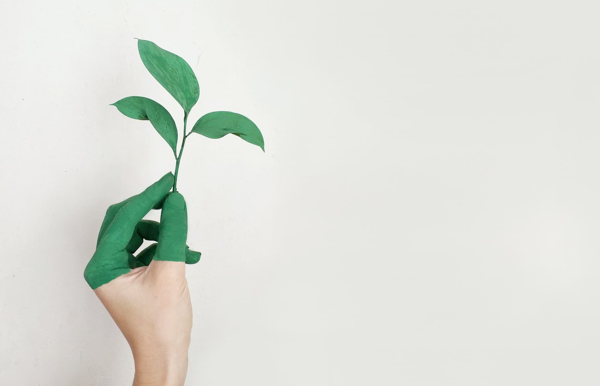 Sustainability Readiness Index