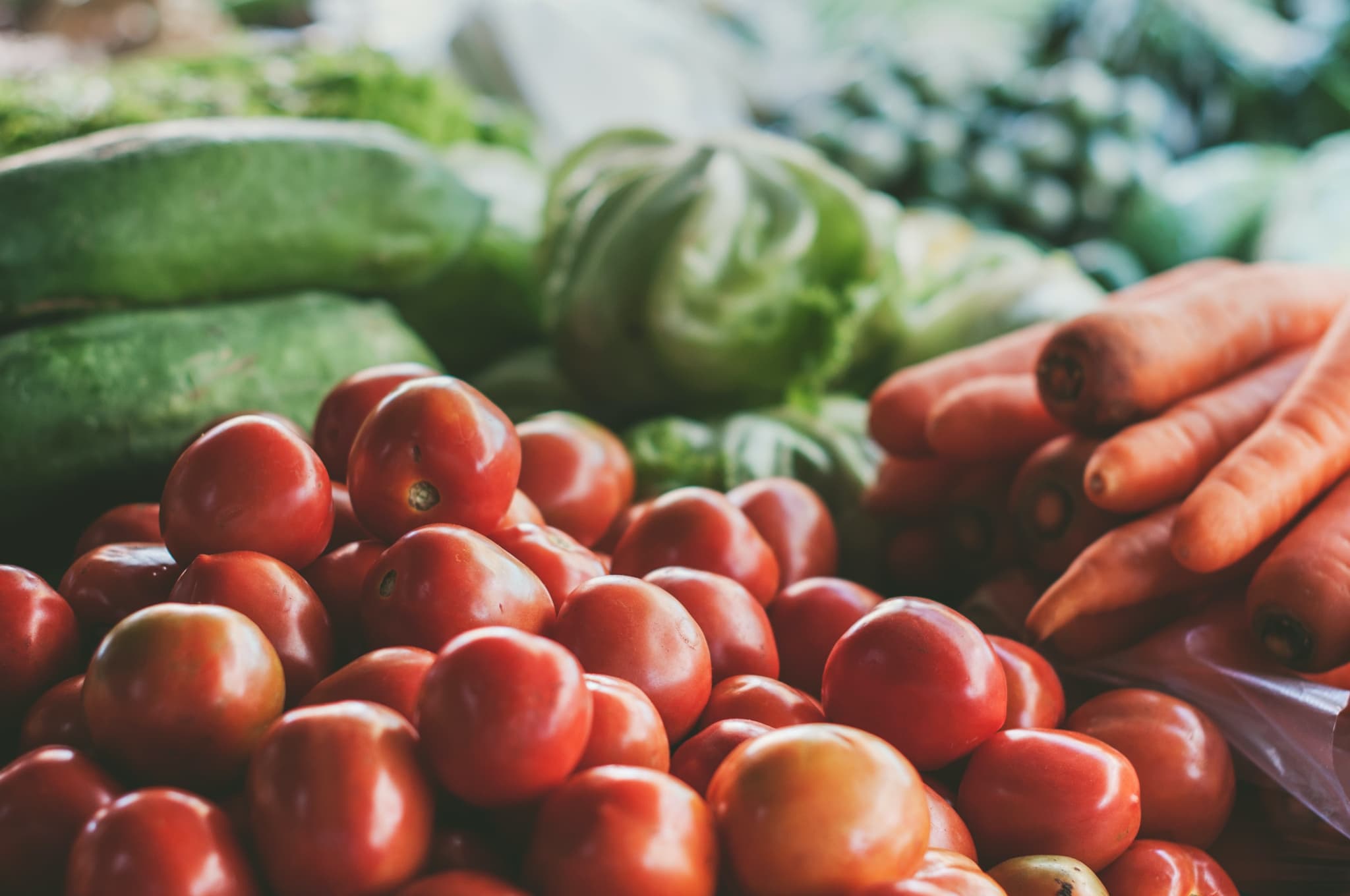 Smart Food Supply Routing